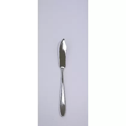 Ritz Fischmesser 19.7cm