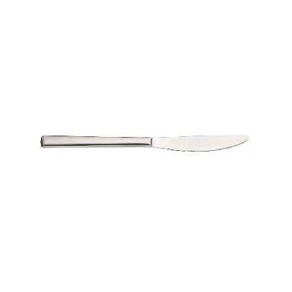 Synthesis Tafelmesser Monobloc 22.5cm