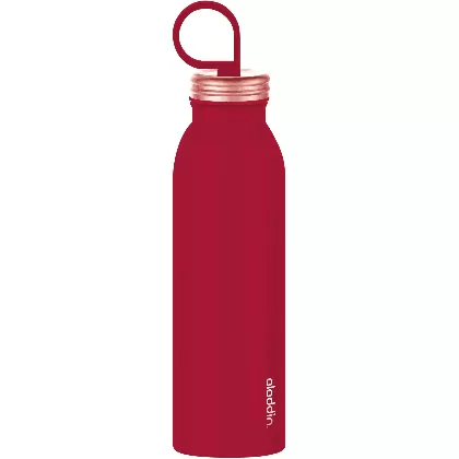 Chilled Thermavac Stain. St. Water Bottle 0.55L Cherry Red