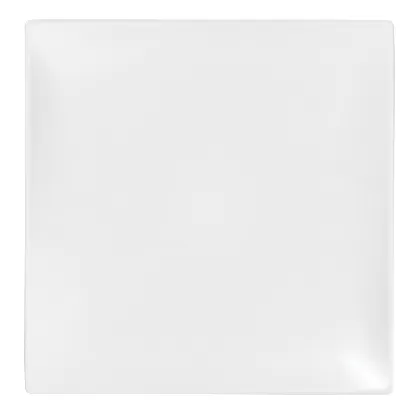 New Bone Gourmet Teller quadratisch 27x27cm