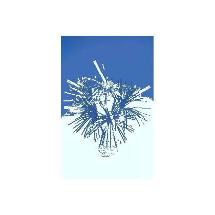Flittertrinkhalme 100 Stk. 24cm