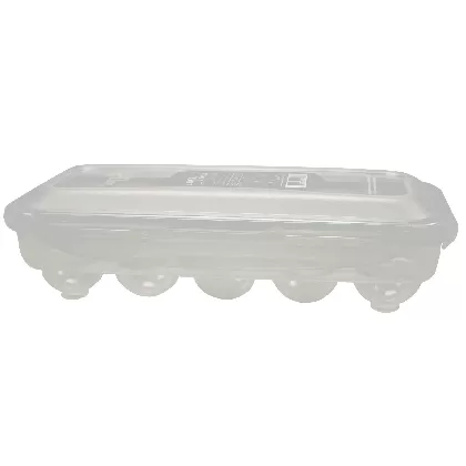 Eierbox für 10Stk 27.9x13.1x7cm
