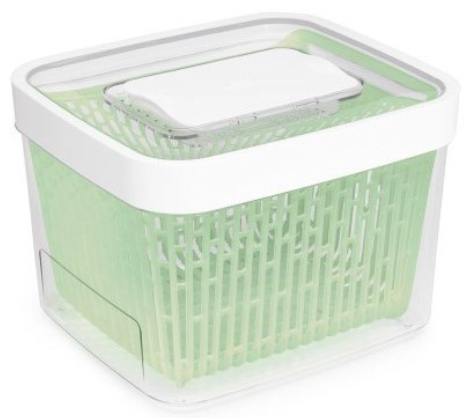 GG Greensaver Aufbewahrungsbehälter, 22x19x15.4cm