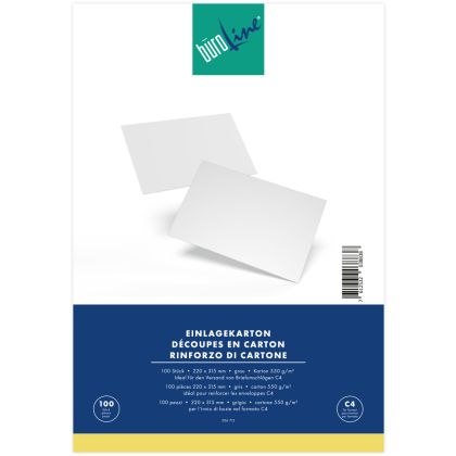 BÜROLINE  Einlagekarton für C4