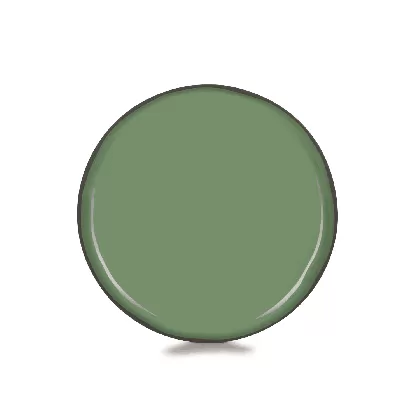 Caractère Speiseteller Ø26cm, minze