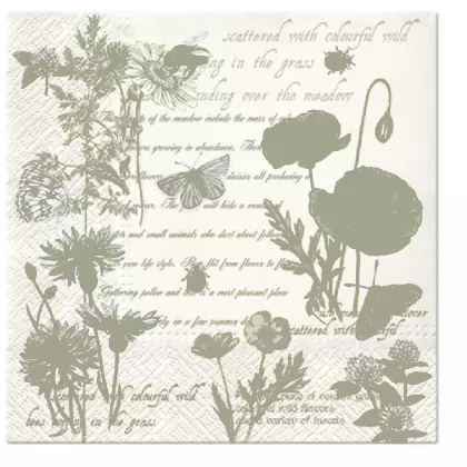 Servietten Lunch 20x Vintage Sommer, 33x33cm