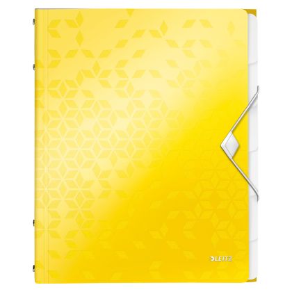 LEITZ     Ordnungsmappe WOW PP        A4