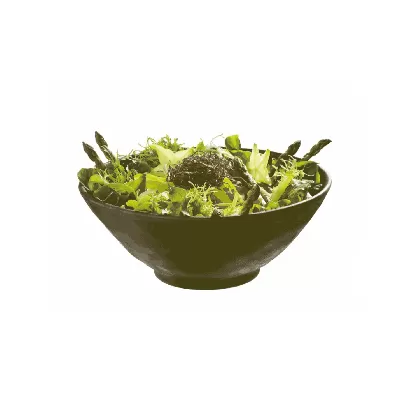 Schale MARONE D21cm, H8,5cm, 1 Liter