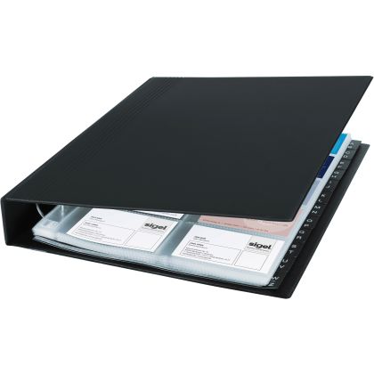 SIGEL     Visitenkarten-Ringb. 325x270mm