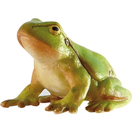 Laubfrosch