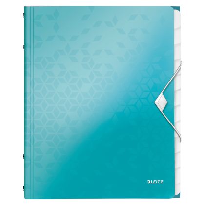 LEITZ     Ordnungsmappe WOW PP        A4