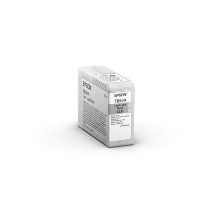 EPSON     Tintenpatrone light li.schwarz