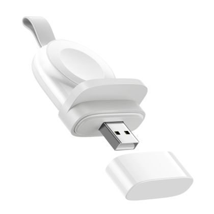 UGREEN    Magnetic USB Charger