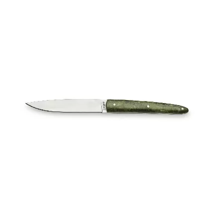 Utset Steakmesser mit Holzgriff Grün