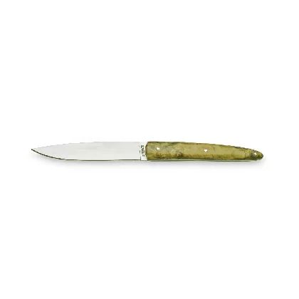Utset Steakmesser mit Holzgriff Limettengrün