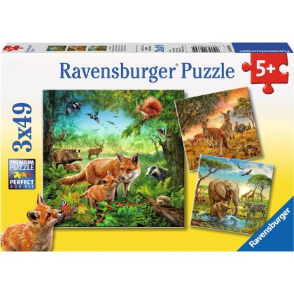 Puzzle Tiere der Erde