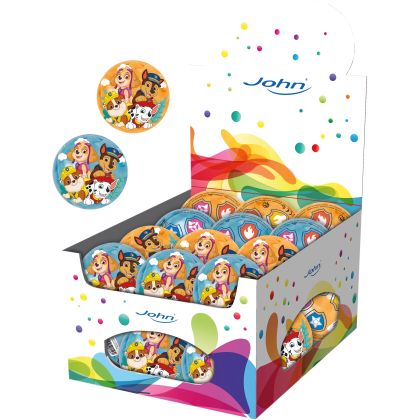 Ball Light Up Paw Patrol (24)