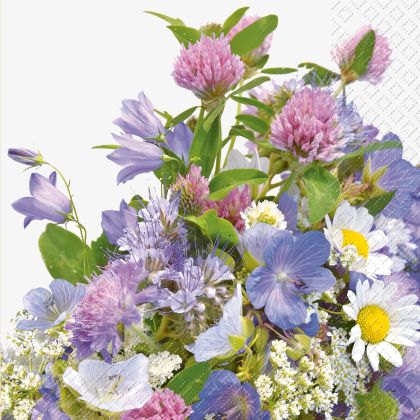 STEWO     Serviette Erika        33x33cm
