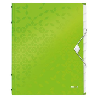 LEITZ     Ordnungsmappe WOW PP        A4