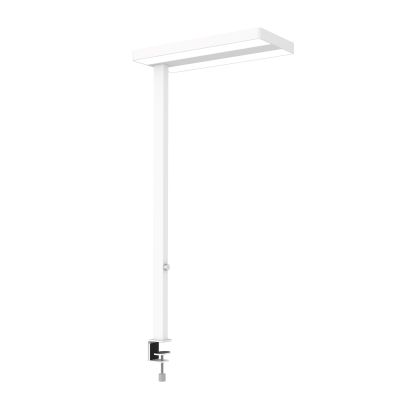 MAUL      LED-Tischleuchte MAULjaval
