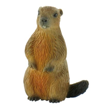 Murmeltier