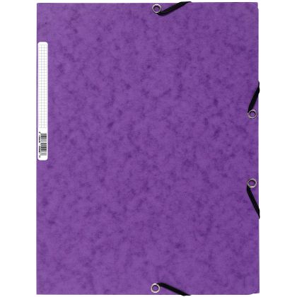 EXACOMPTA Gummibandmappe              A4