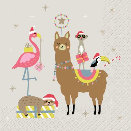 STEWO     Serviette Jay          33x33cm
