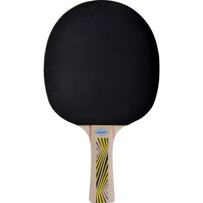 Tischtennis Schläger Legends 500