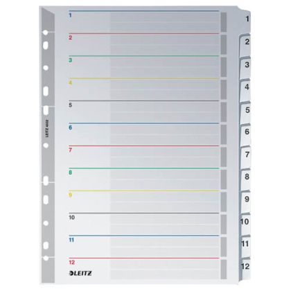 LEITZ     Kartonregister              A4