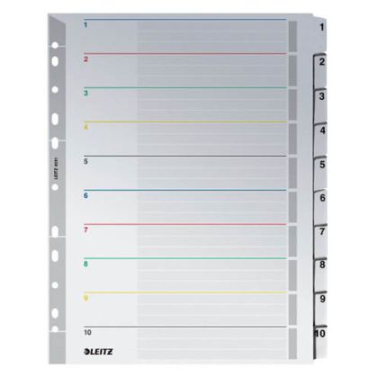 LEITZ     Register Karton             A4