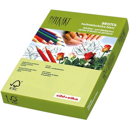 PAPYRUS   Karton Bristol              A4