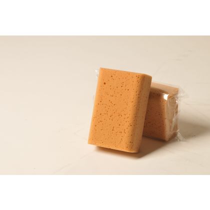FRINA     Schwamm Kunststoff   16x11x6cm