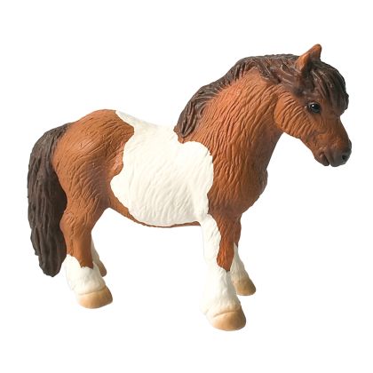 Shetlandpony