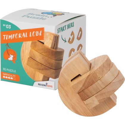 Brain Puzzle Nr.3 Temporal Lobe