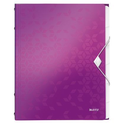 LEITZ     Ordnungsmappe WOW PP        A4