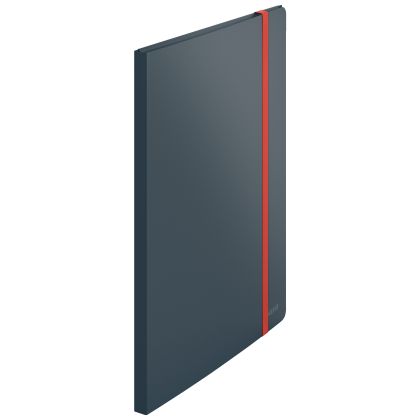 LEITZ     Sichtbuch Cosy PP           A4