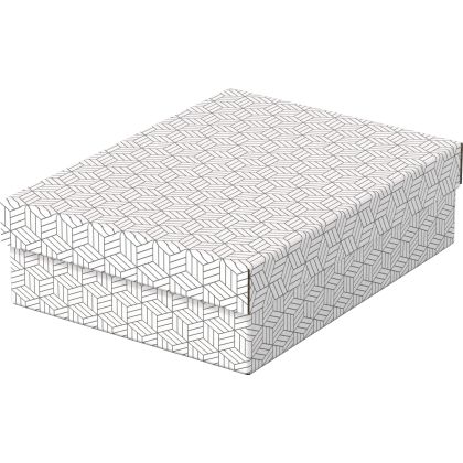 ESSELTE   Aufbewahrungsboxen Home M
