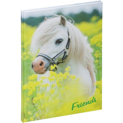 PAGNA     Freundebuch