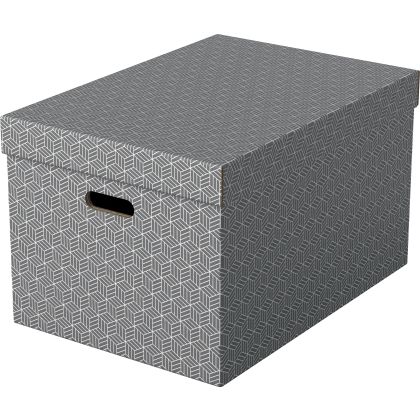 ESSELTE   Aufbewahrungsboxen Home L