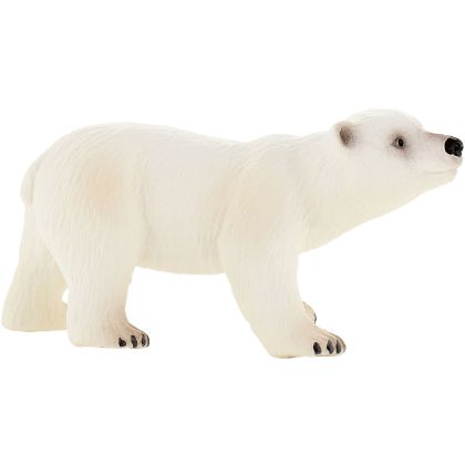 Eisbärjunges