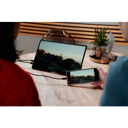 VERBATIM  Portable Monitor 14 ZollPM-14
