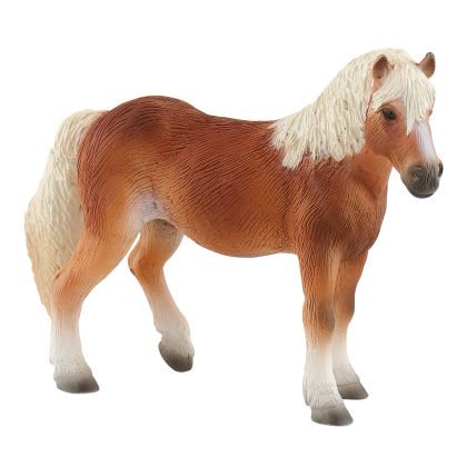 Haflinger Stute