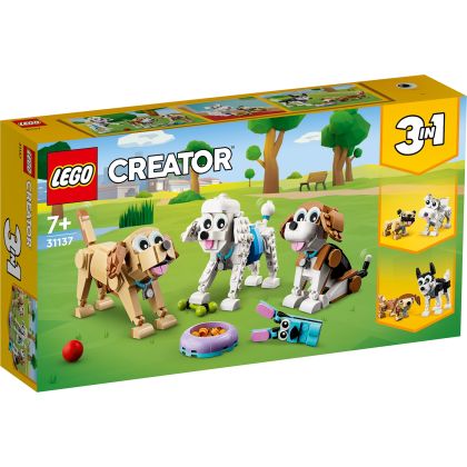 Niedliche Hunde