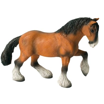 Shire Horse Wallach