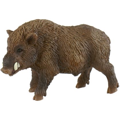 Wildschwein