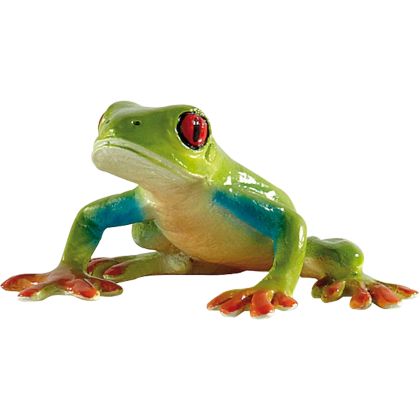Rotaugenlaubfrosch
