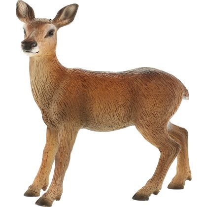 Hirschkuh