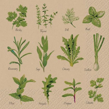 STEWO     Serviette Herb