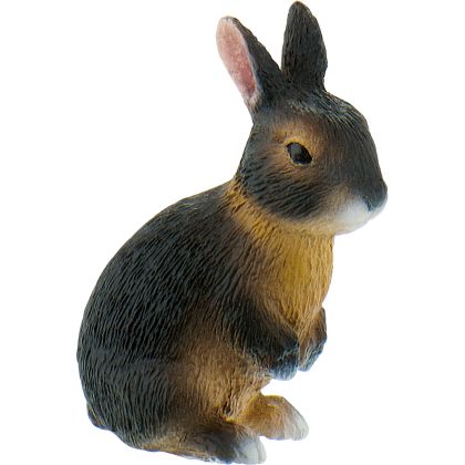 Kaninchen