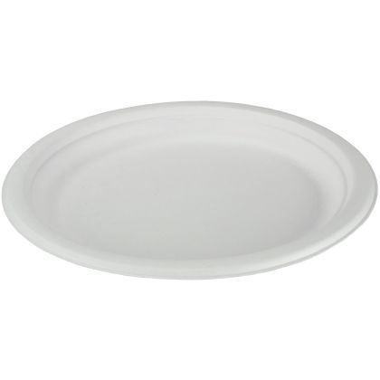 EJS       Teller aus Bagasse        23cm